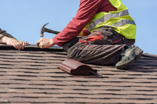 Roof Gutter Cleaning in Adrian, MO