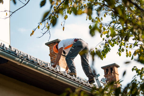Best Roof Maintenance Services  in Adrian, MO